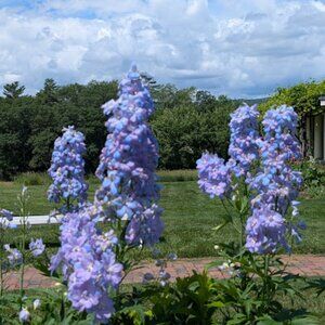 Meet your Posher, Jan